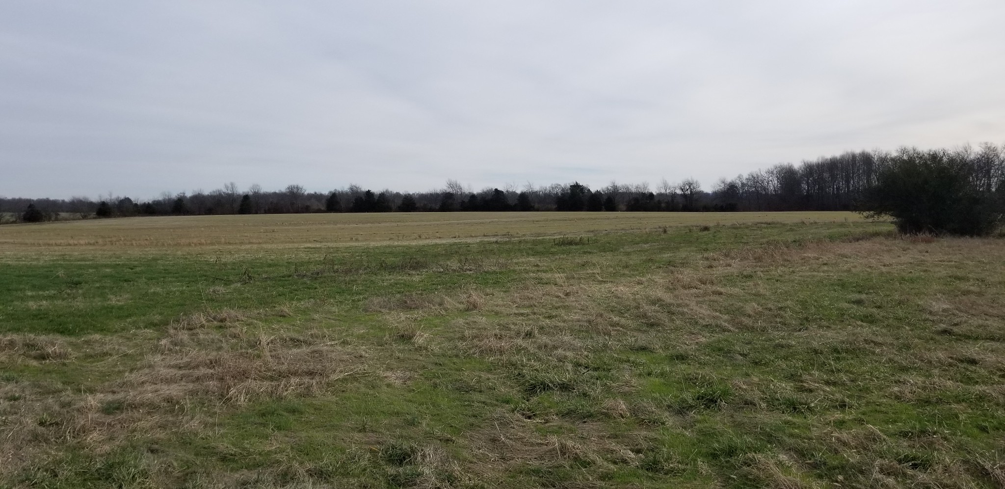 1480 Goforth Road Morrison, TN 37357 - Photo 7 of 15