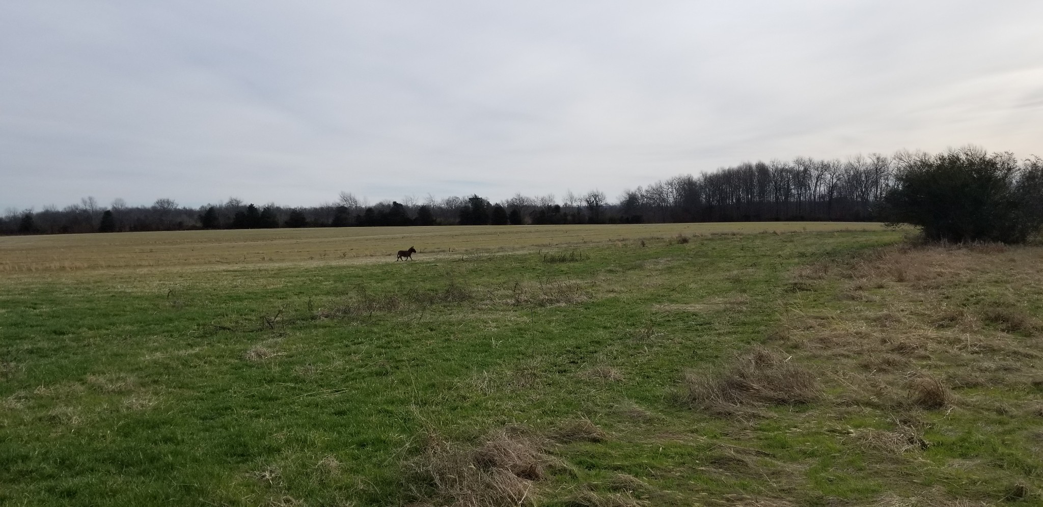 1480 Goforth Road Morrison, TN 37357 - Photo 8 of 15