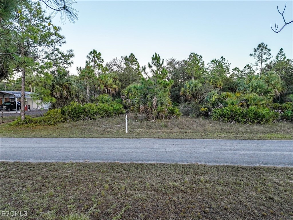 2310 Louis Avenue Alva, FL 33920 - Photo 32 of 32