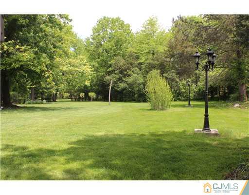 36 Runnymede Road Colonia, NJ 07067 - Photo 22 of 25 a view of a field with a tree