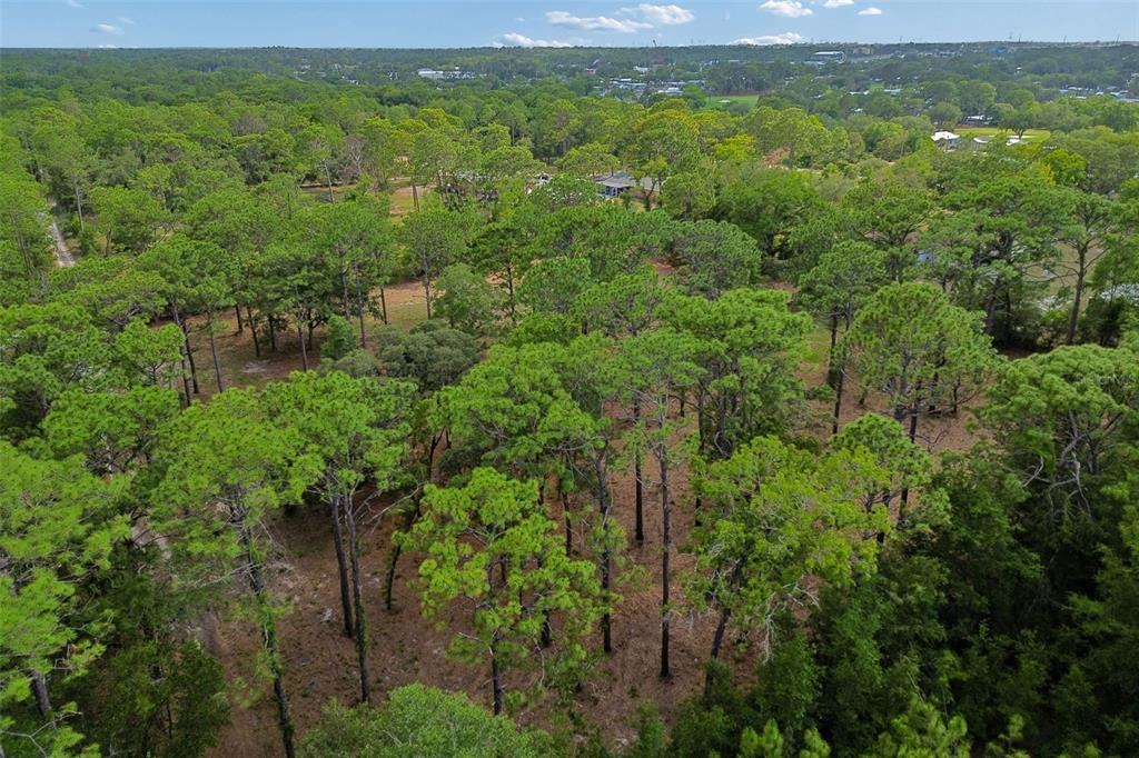 Grove Road Brooksville, FL 34613 - Photo 23 of 26