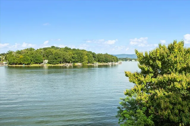 $2,900,000 | 331 Blue Heron Drive, Wirtz, VA 24184