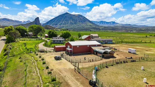 a view of a swimming pool with a yard and plants