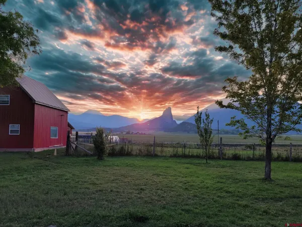 a view of a swimming pool with a yard and plants