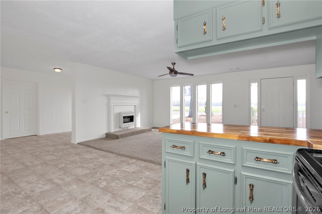 997 Balfour Road Red Springs, NC 28377 - Photo 6 of 15 Gallery Image 6