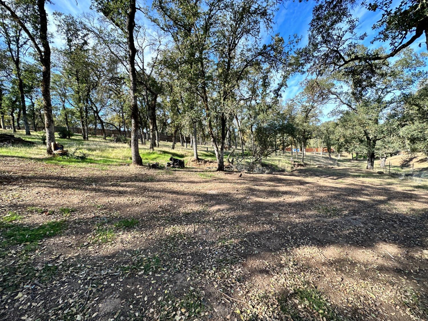 68 Reginald Way Oroville, CA 95966 - Photo 11 of 12 a view of a yard with entertaining space