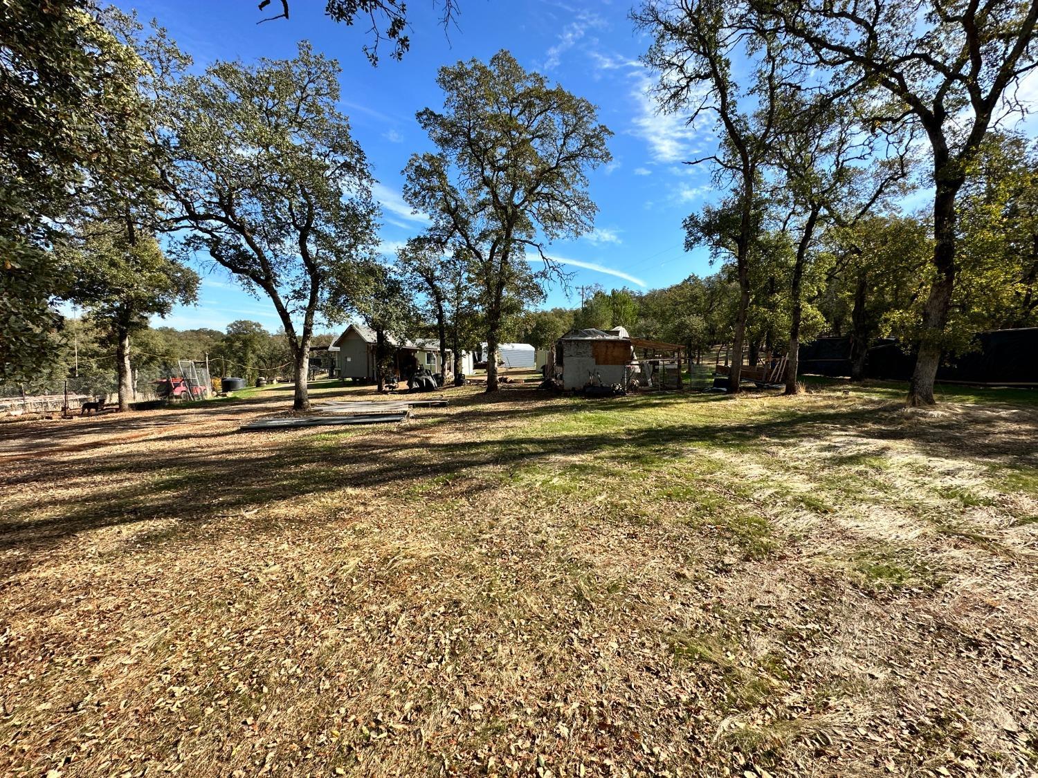68 Reginald Way Oroville, CA 95966 - Photo 12 of 12 a view of a yard with large trees