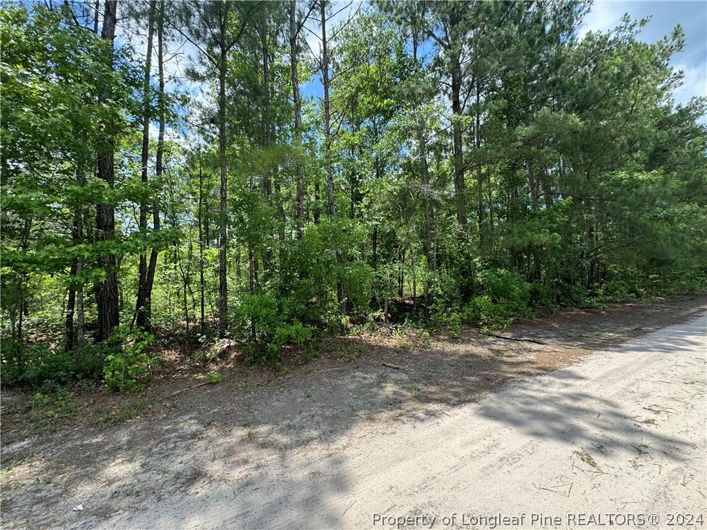 Tbd Avery Road Fayetteville, NC 28312 - Photo 1 of 11 Gallery Image 1