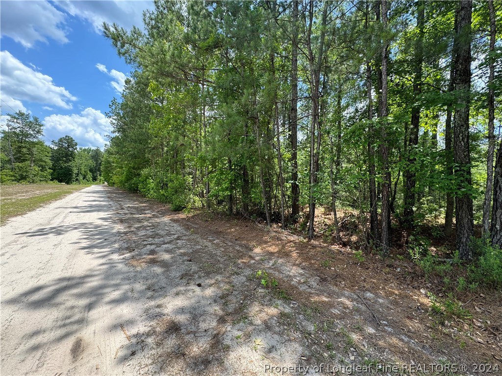 Tbd Avery Road Fayetteville, NC 28312 - Photo 2 of 11 Gallery Image 2