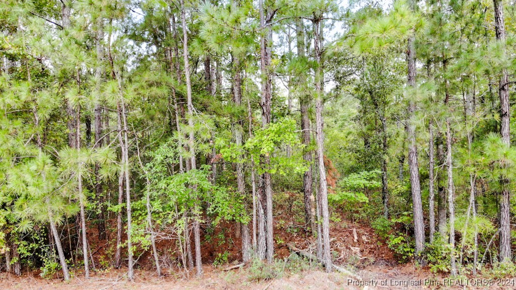 Tbd Avery Road Fayetteville, NC 28312 - Photo 6 of 11 Gallery Image 6