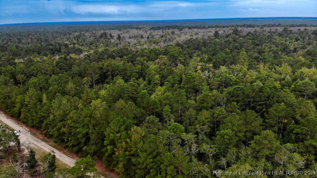 Tbd Avery Road Fayetteville, NC 28312 - Photo 7 of 11 Gallery Image 7