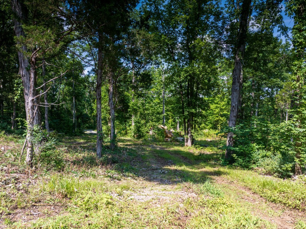 0 McElroy Road Readyville, TN 37149 - Photo 7 of 19