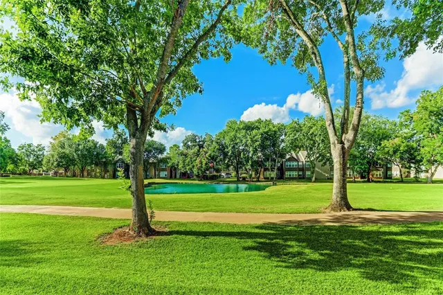 a view of a park with a tree in the background
