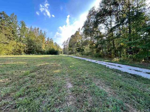 a view of a big yard with large trees
