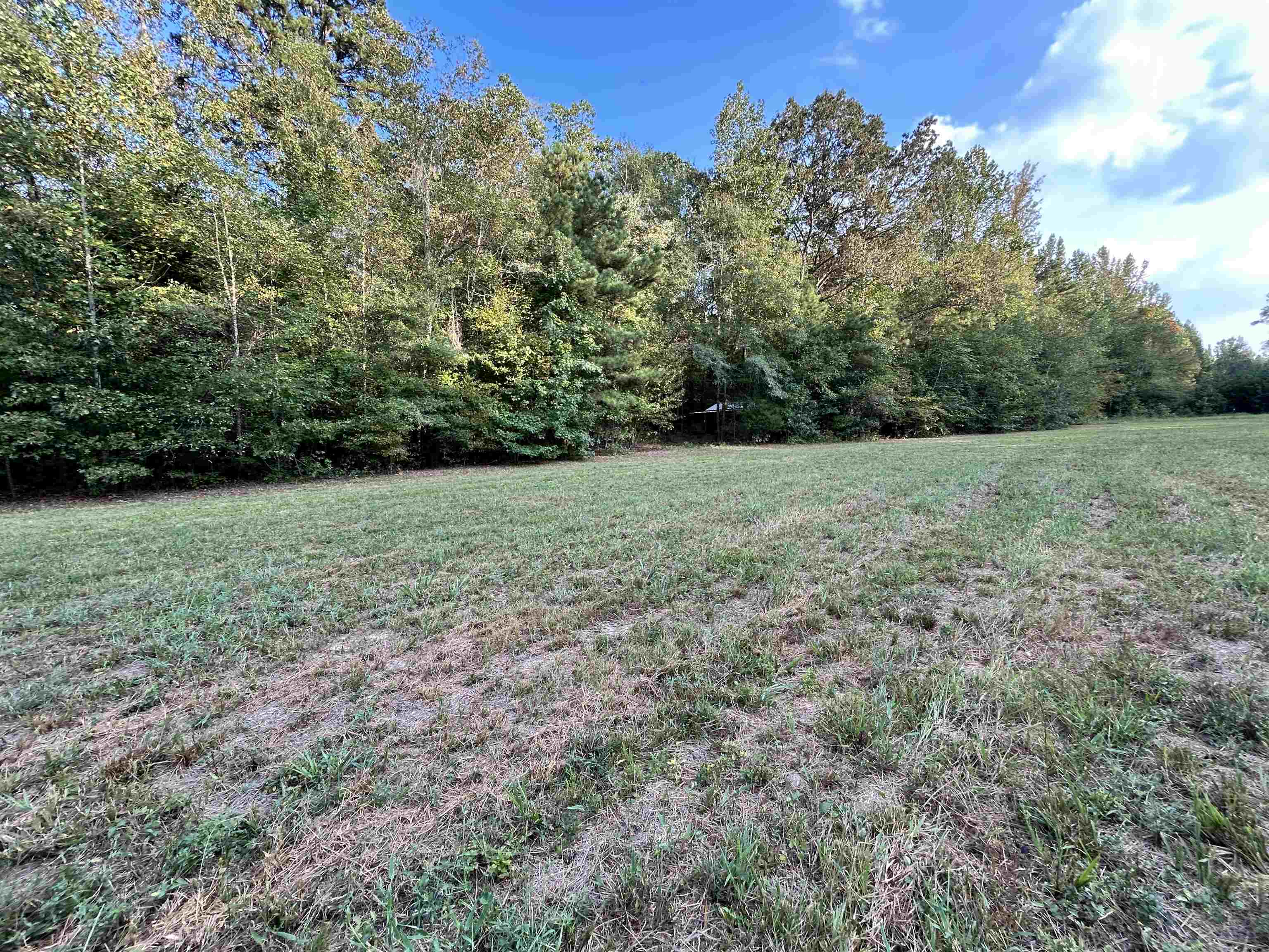 0 Cora Lane Bolivar, TN 38008 - Photo 24 of 24 a view of a field with trees in the background
