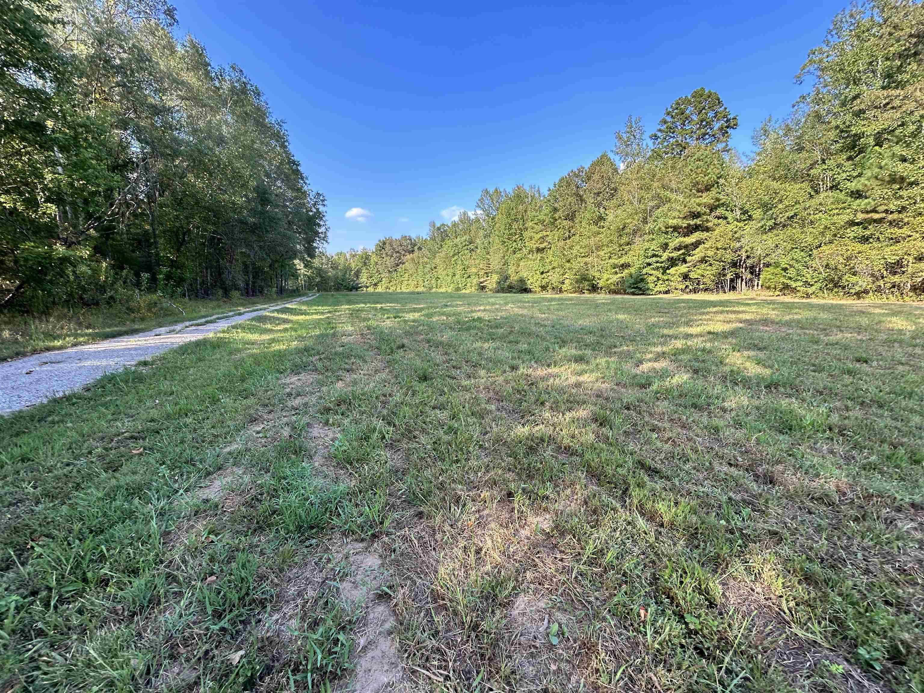 0 Cora Lane Bolivar, TN 38008 - Photo 3 of 24 a view of a yard with a trees