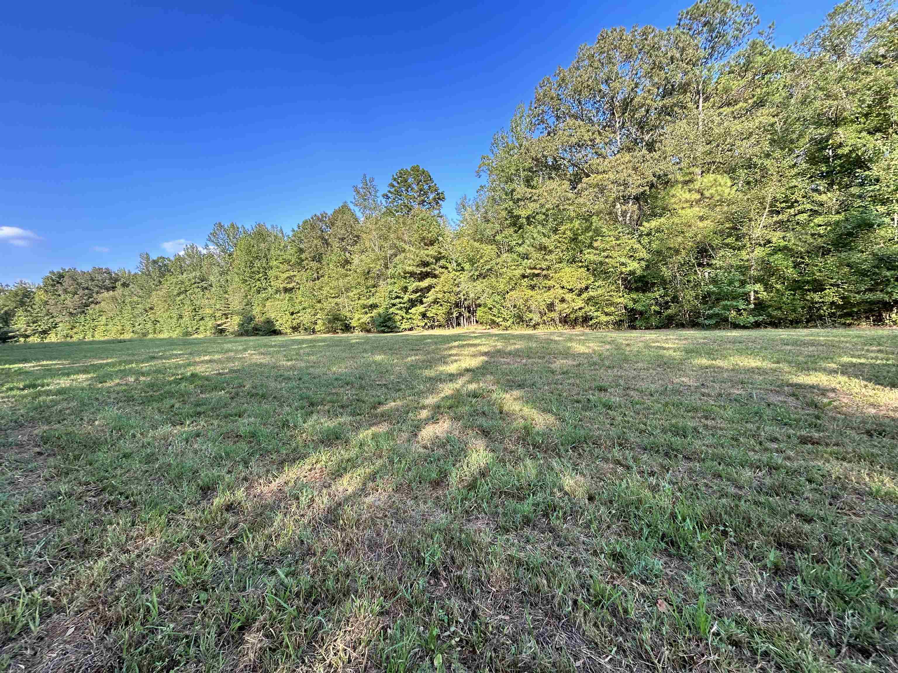 0 Cora Lane Bolivar, TN 38008 - Photo 4 of 24 a view of a field with an trees