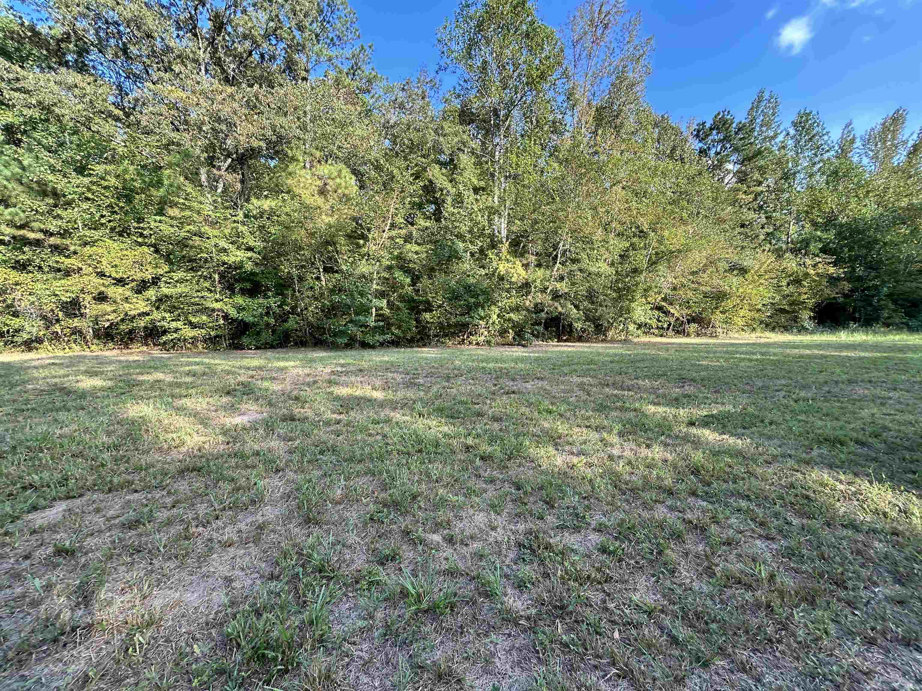 0 Cora Lane Bolivar, TN 38008 - Photo 5 of 24 a view of a field with trees in the background