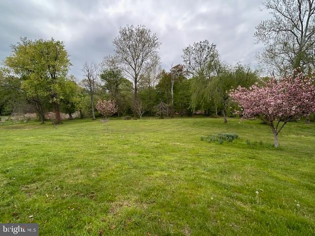 39 Riverside Drive Elkton, MD 21921 - Photo 12 of 64 a view of a grassy field with trees in the background