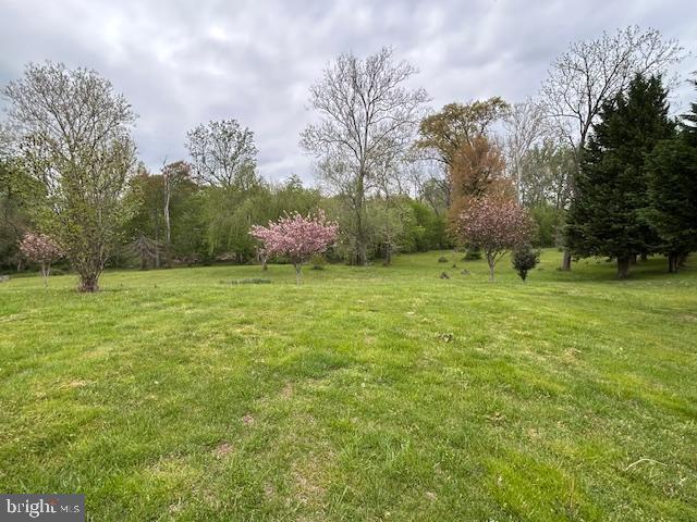 39 Riverside Drive Elkton, MD 21921 - Photo 13 of 64 a big yard with lots of green space and trees