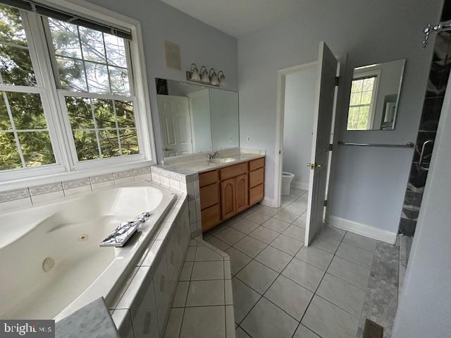 39 Riverside Drive Elkton, MD 21921 - Photo 40 of 64 a bathroom with a tub sink and mirror