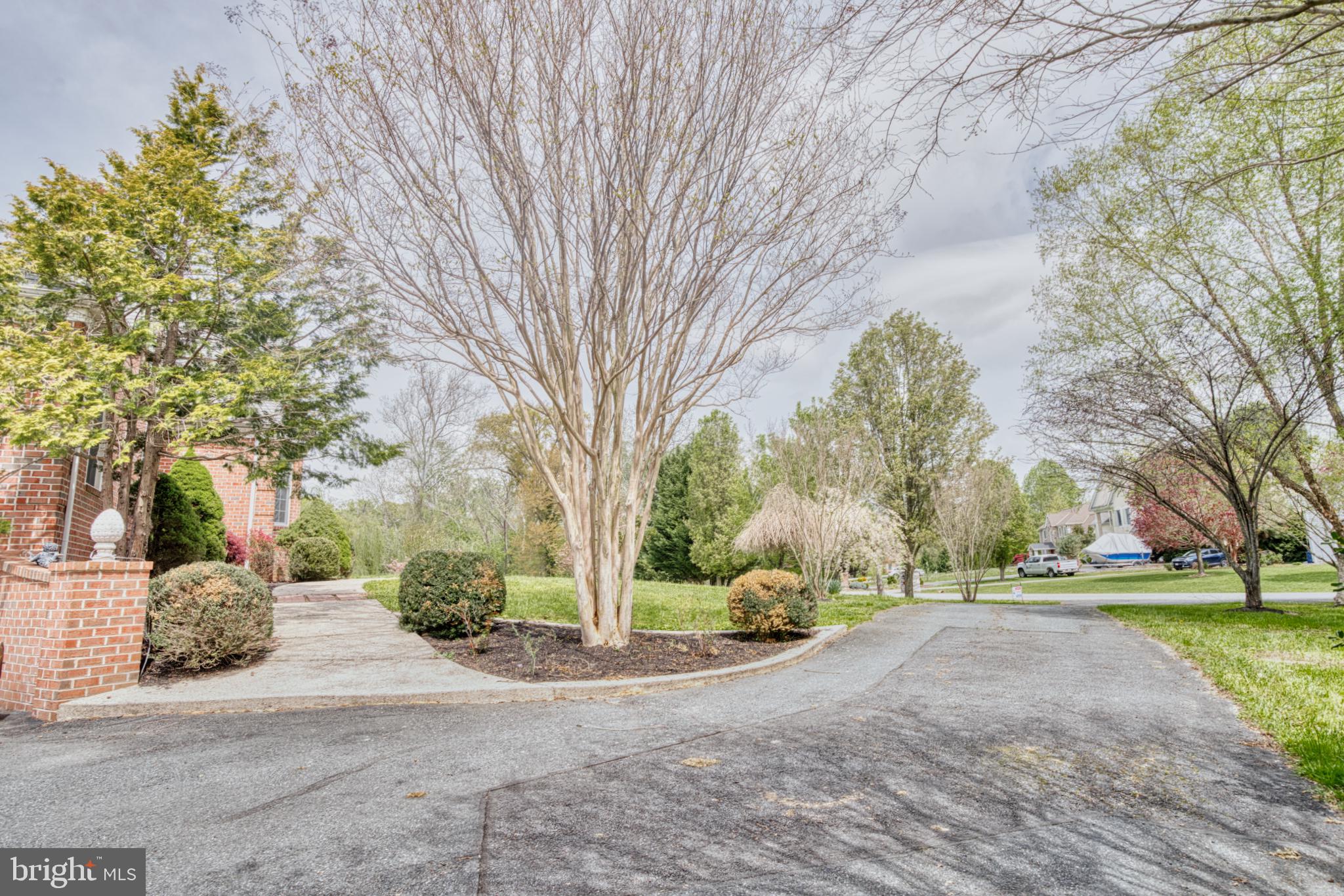 39 Riverside Drive Elkton, MD 21921 - Photo 4 of 64 a road view with large trees