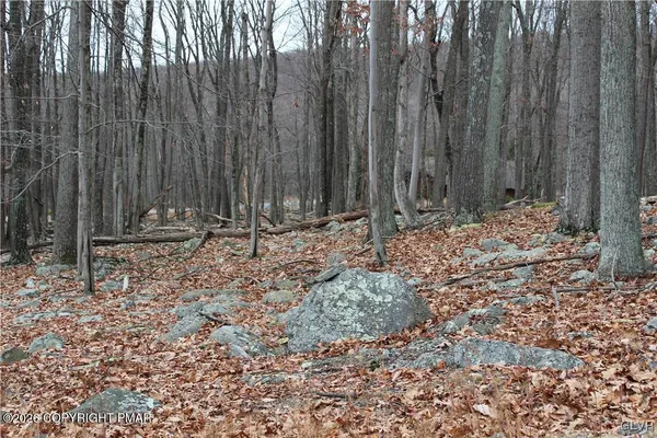 a view of wooden fence