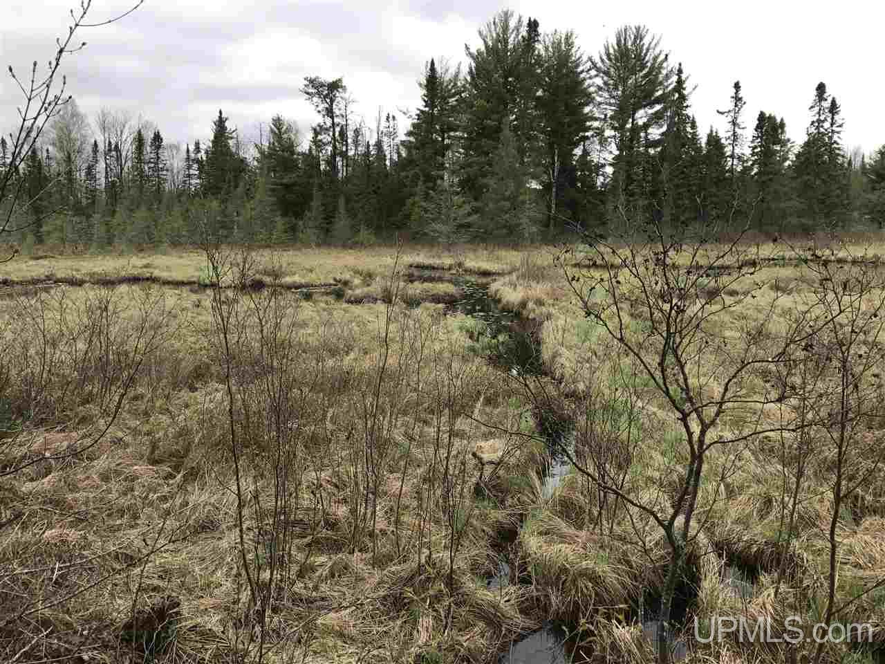 40-ac Kelso Road Crystal Falls, MI 49920 - Photo 15 of 21