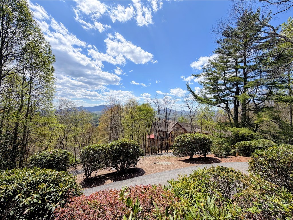 351 Old Bark Road Boone, NC 28607 - Photo 15 of 50