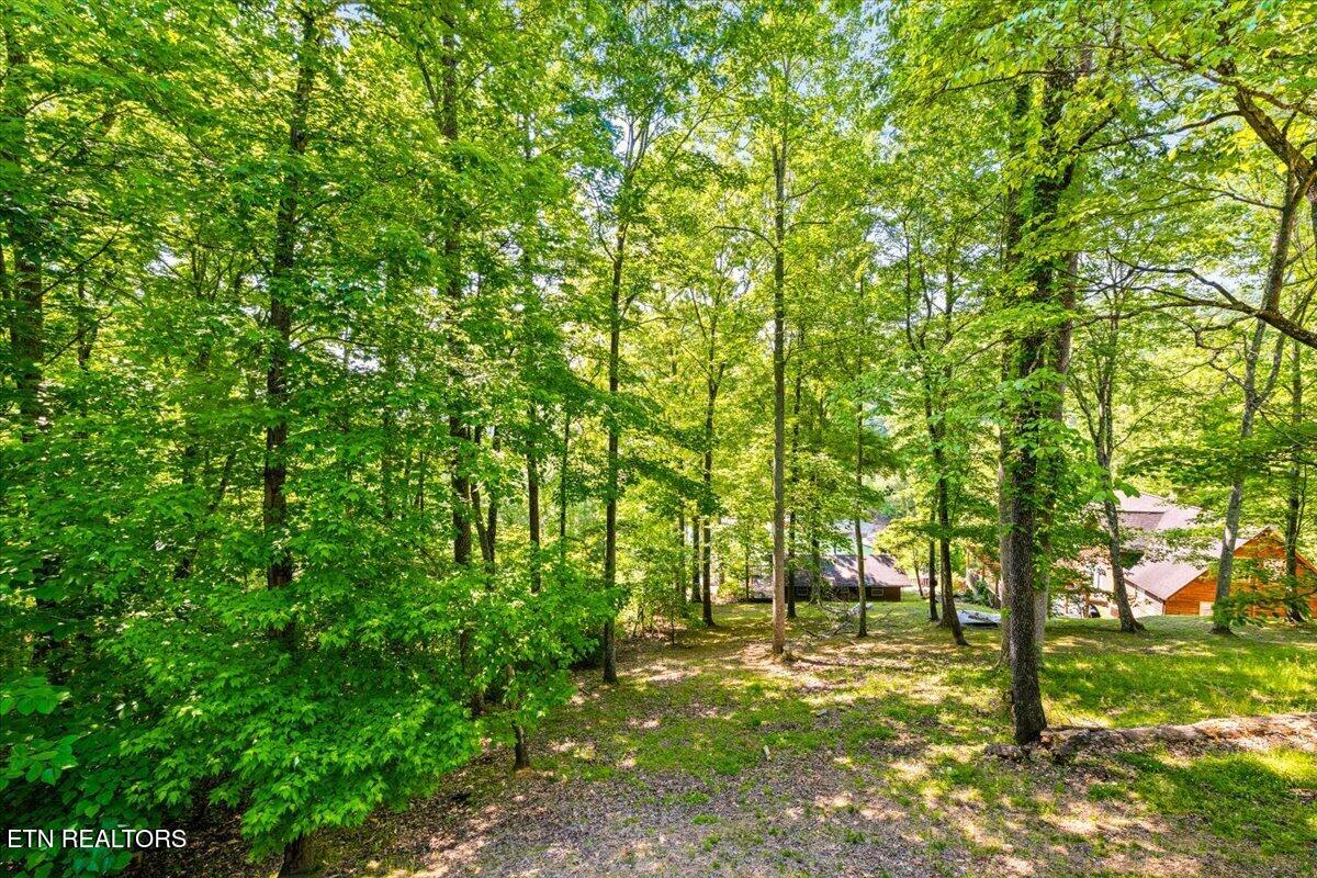 264 Rain Valley Road La Follette, TN 37766 - Photo 37 of 40 Yard