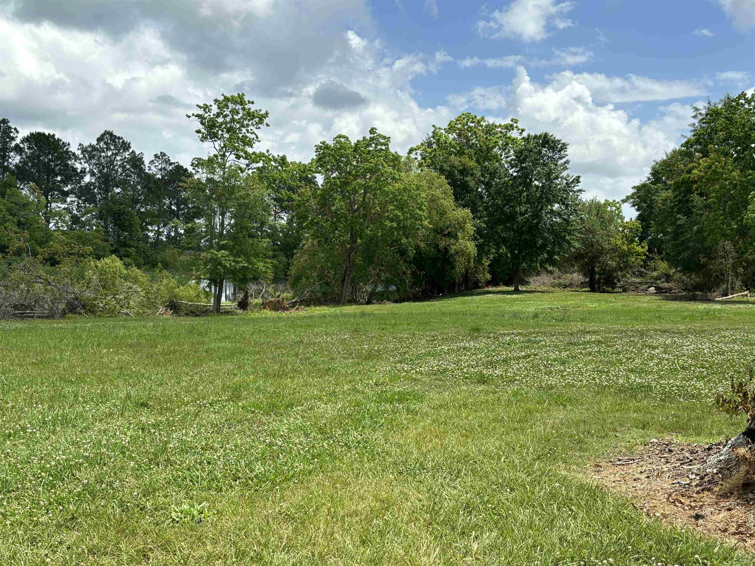 24588 Ponder Loop Loxley, AL 36551 - Photo 35 of 38 Loxley Countryside