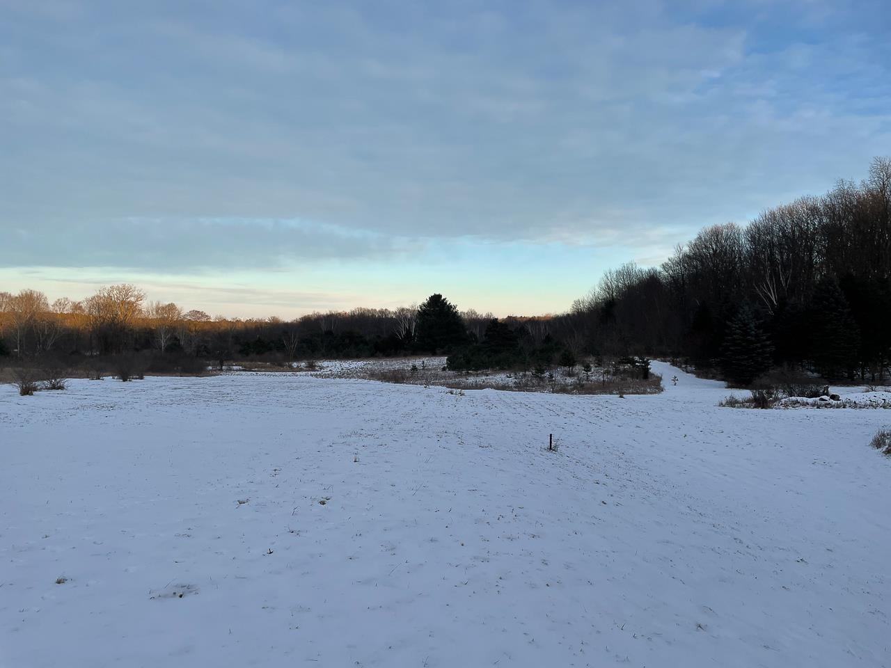 2217 South Rolland Road Remus, MI 49340 - Photo 5 of 42 1895933-4.JPG