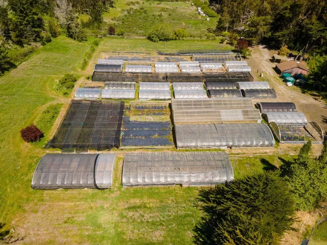 a view of an outdoor space and swimming pool