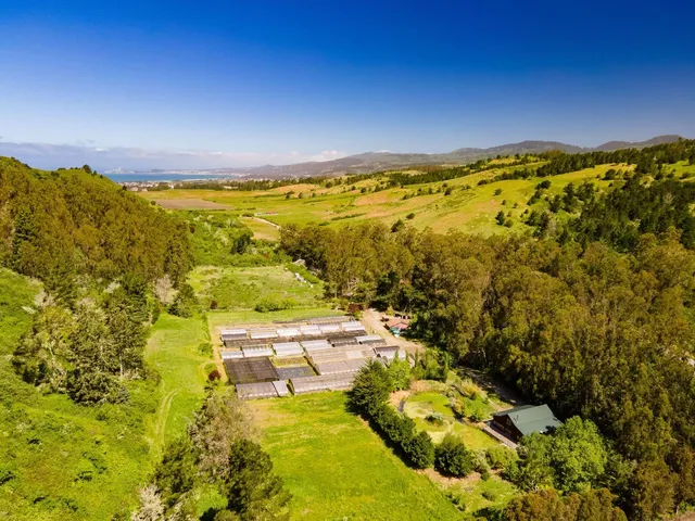 a view of city and ocean