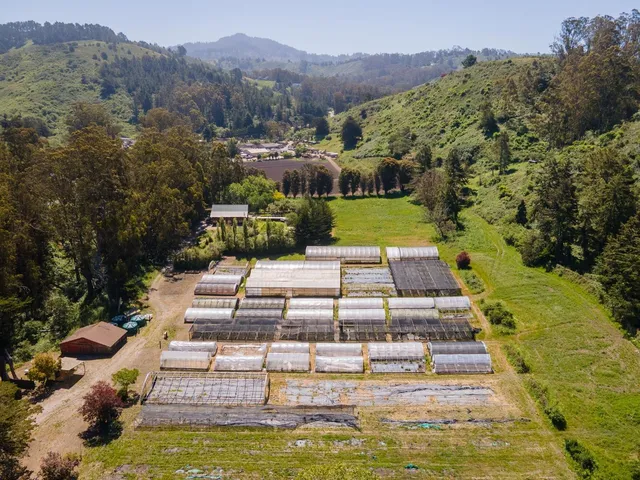 a view of a swimming pool with a yard