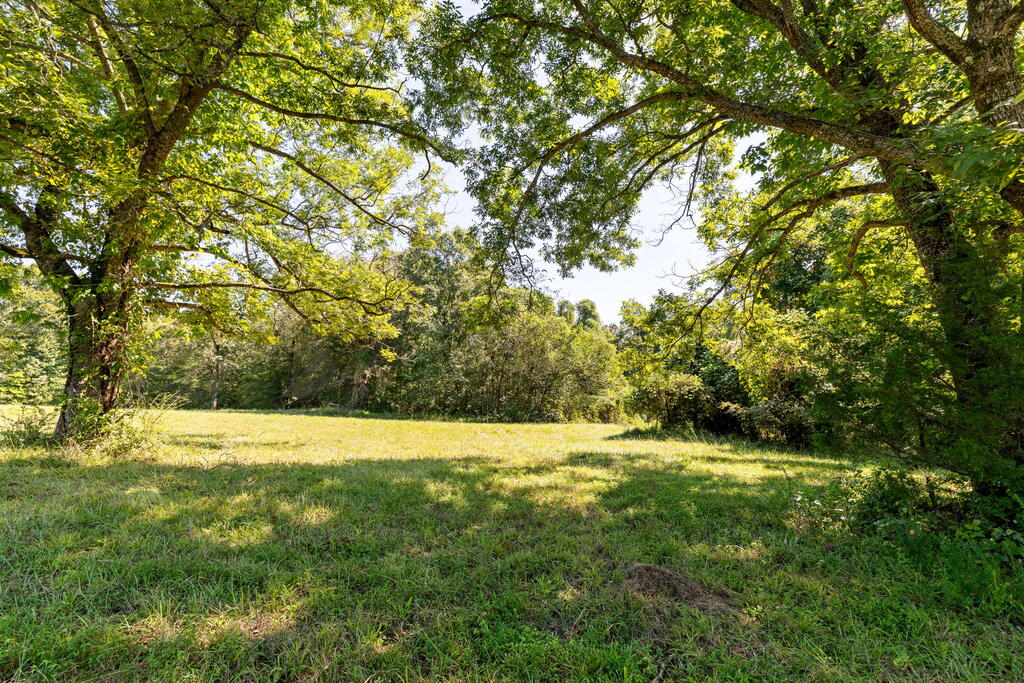 Lees Mill Road, Unit 3 Chase City, VA 23924 - Photo 1 of 64 Gallery Image 1