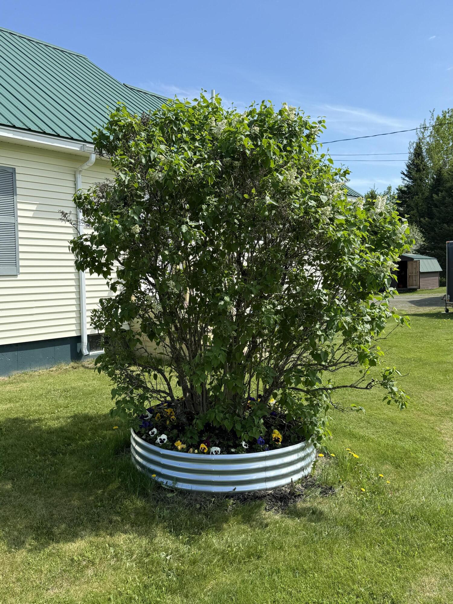 442 Old Patten Road Island Falls, ME 04747 - Photo 55 of 58 IMG_9918