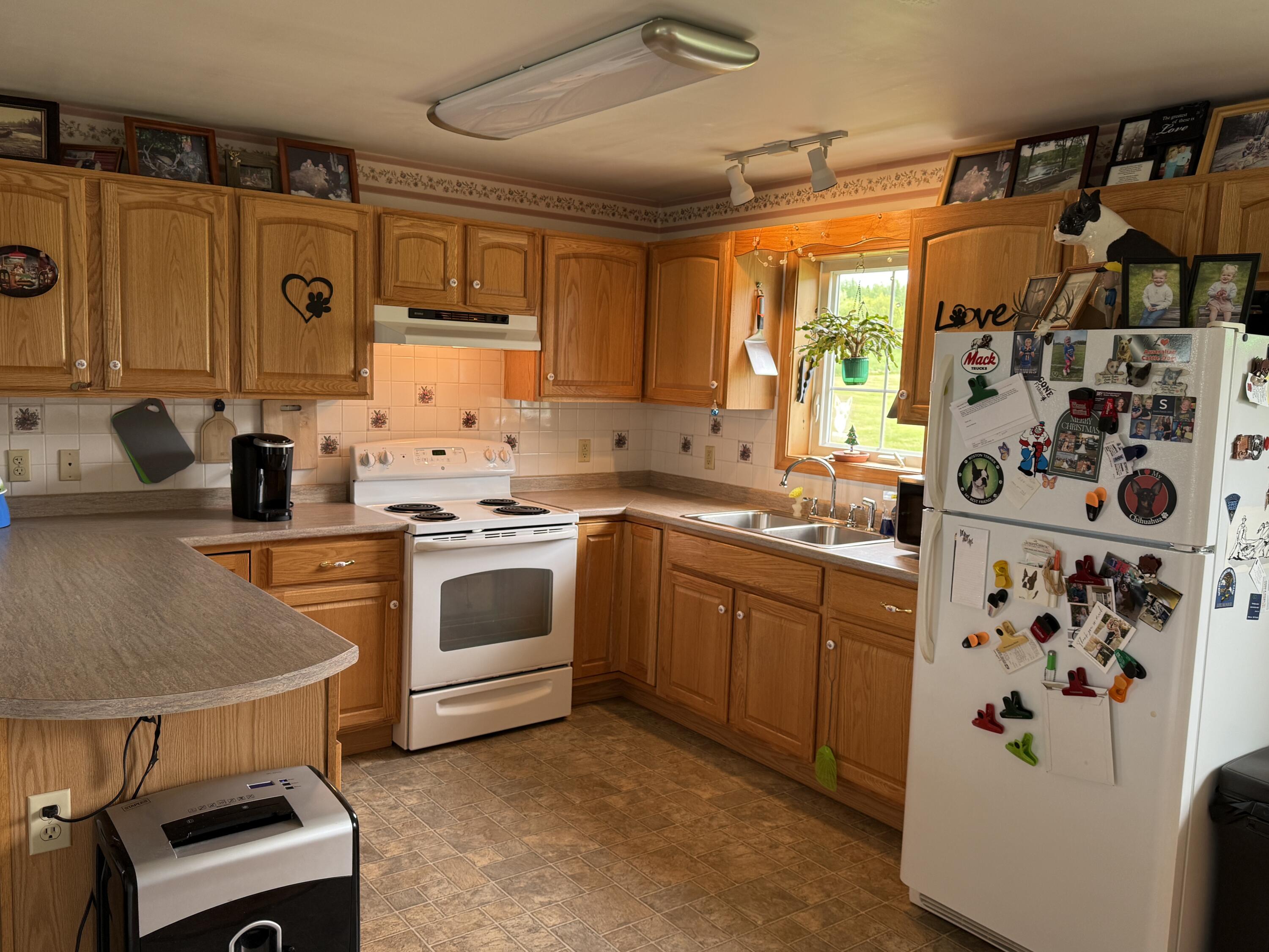 442 Old Patten Road Island Falls, ME 04747 - Photo 9 of 58 IMG_9964