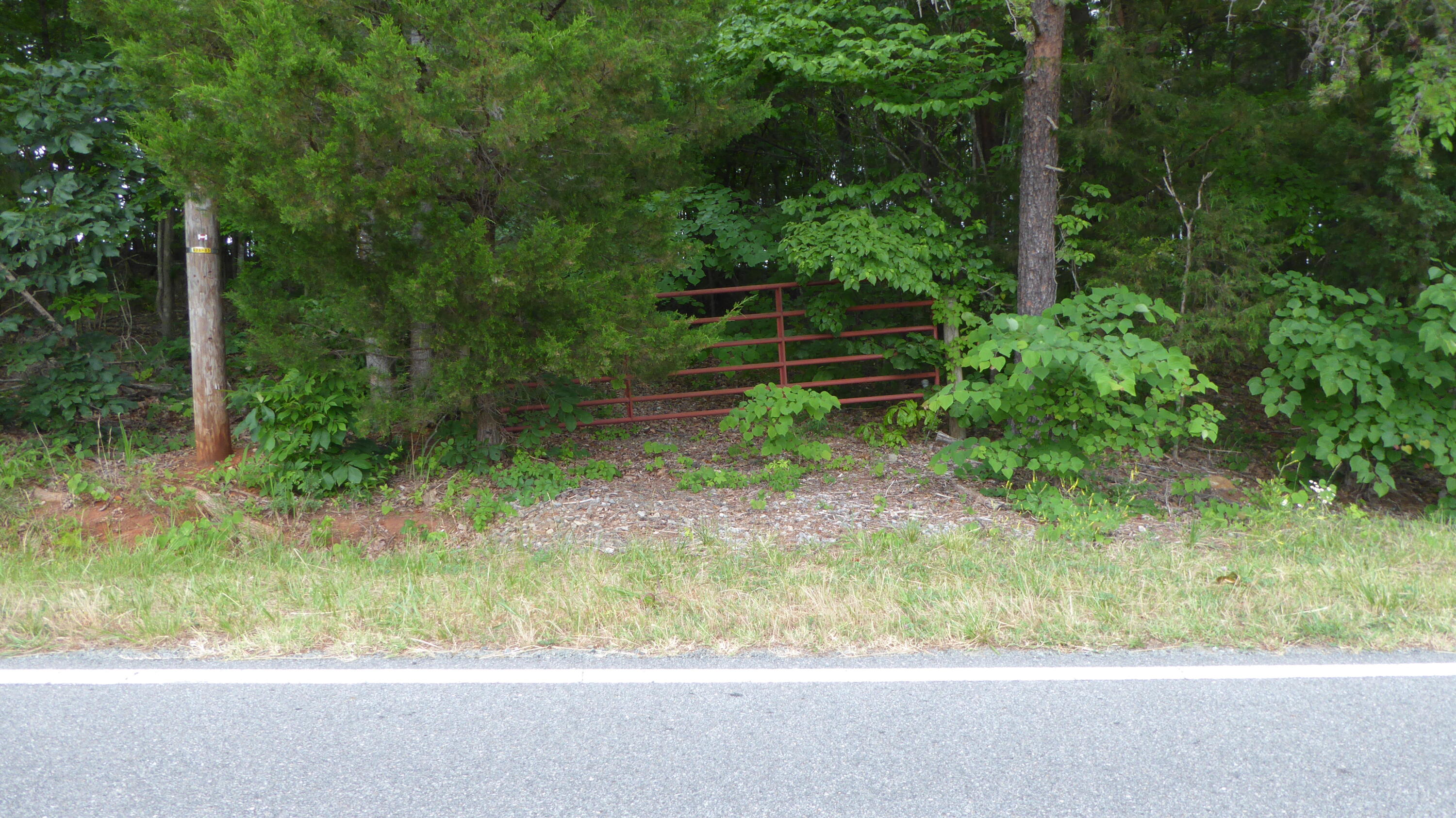 0 Snow Creek Road Penhook, VA 24137 - Photo 2 of 6 a view of backyard with green space