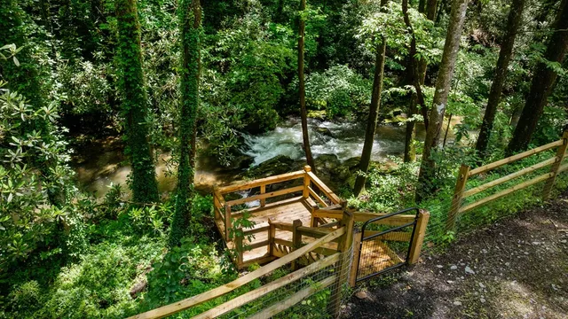 $1,450,000 | 10323 Grassy Mountain Road, Ellijay, GA 30540