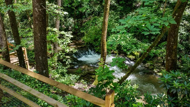 $1,450,000 | 10323 Grassy Mountain Road, Ellijay, GA 30540