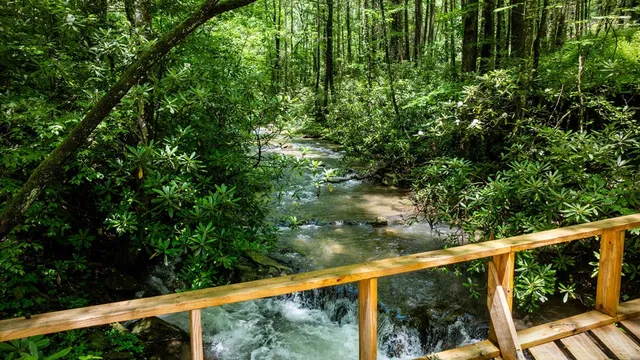 $1,450,000 | 10323 Grassy Mountain Road, Ellijay, GA 30540