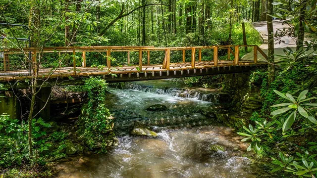 $1,450,000 | 10323 Grassy Mountain Road, Ellijay, GA 30540