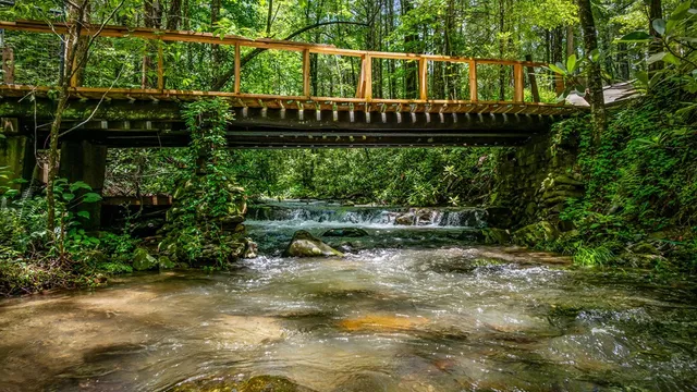 $1,450,000 | 10323 Grassy Mountain Road, Ellijay, GA 30540
