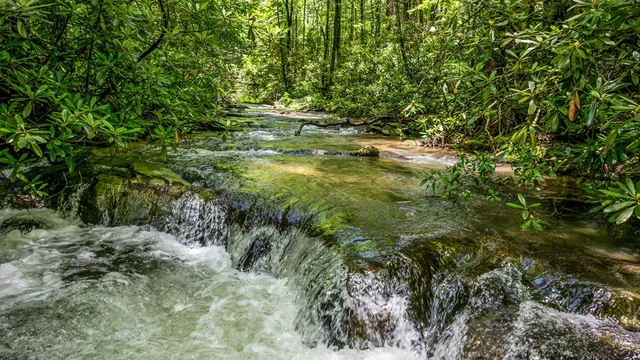 $1,450,000 | 10323 Grassy Mountain Road, Ellijay, GA 30540