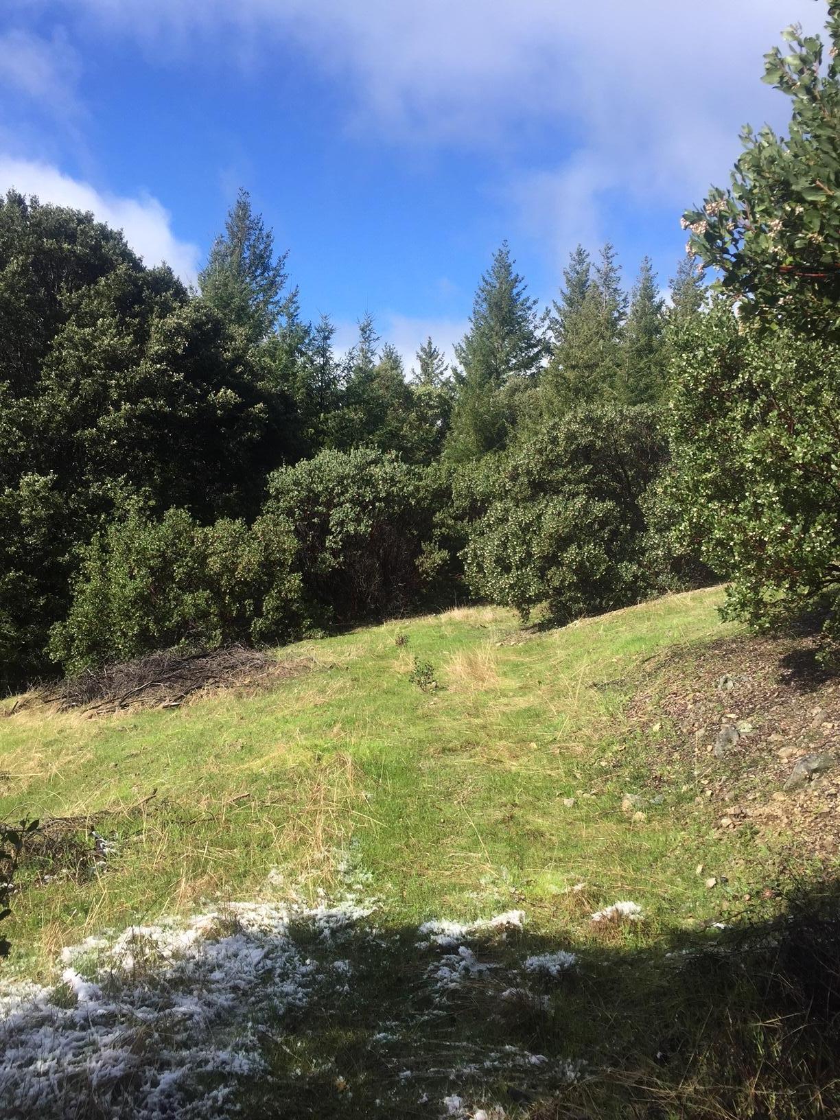 4250 Wilder Ridge Road Garberville, CA 95542 - Photo 22 of 28 IMG_6851