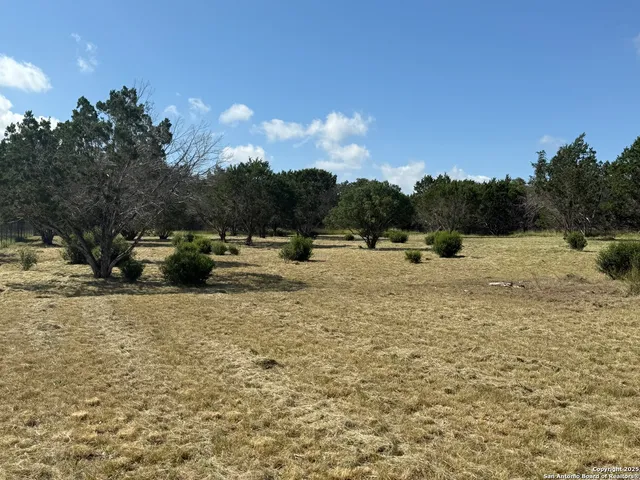 a view of outdoor space with trees