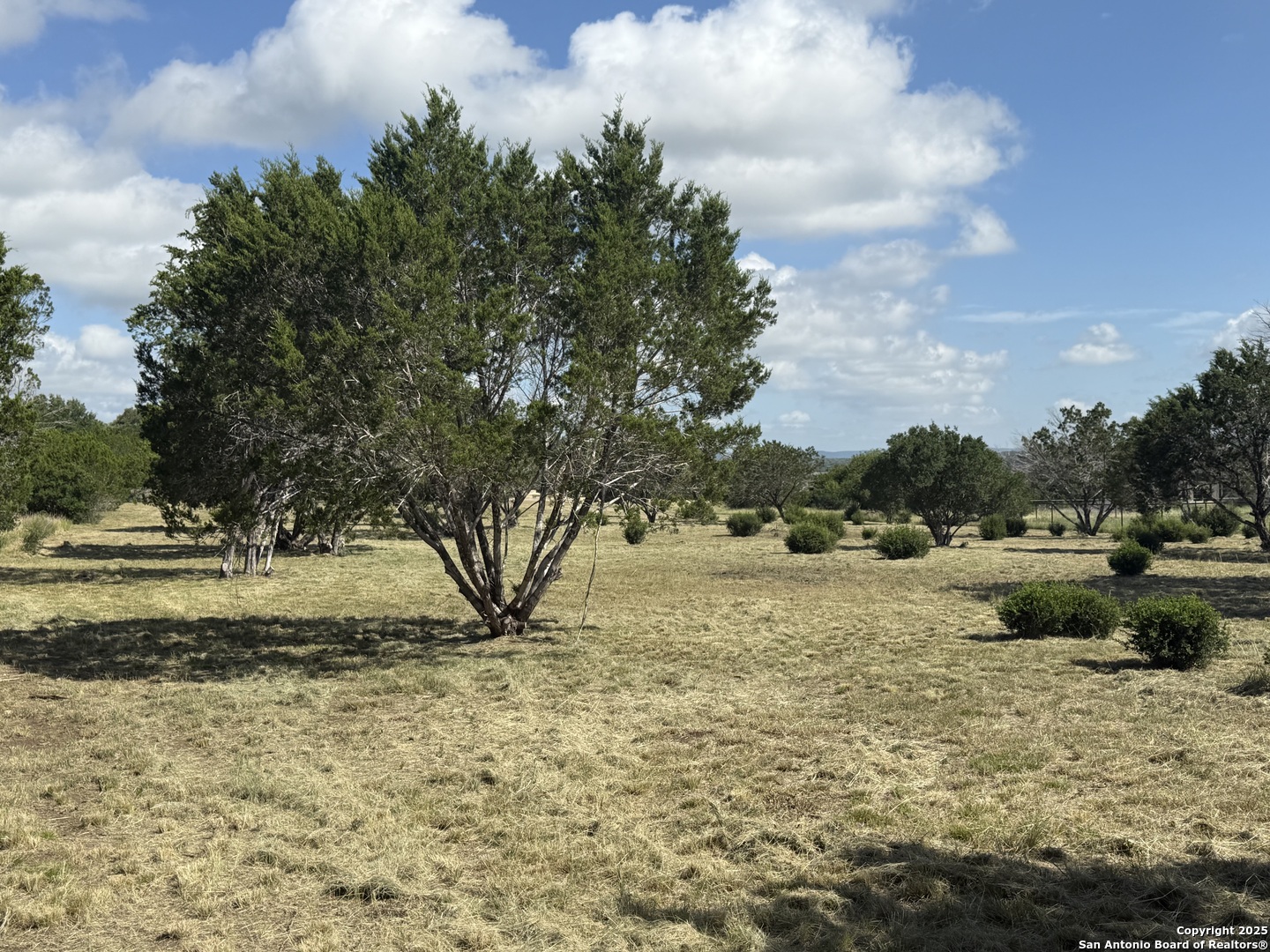 1268 Lariat Bandera, TX 78003 - Photo 3 of 10 a view of swimming pool and trees in the background