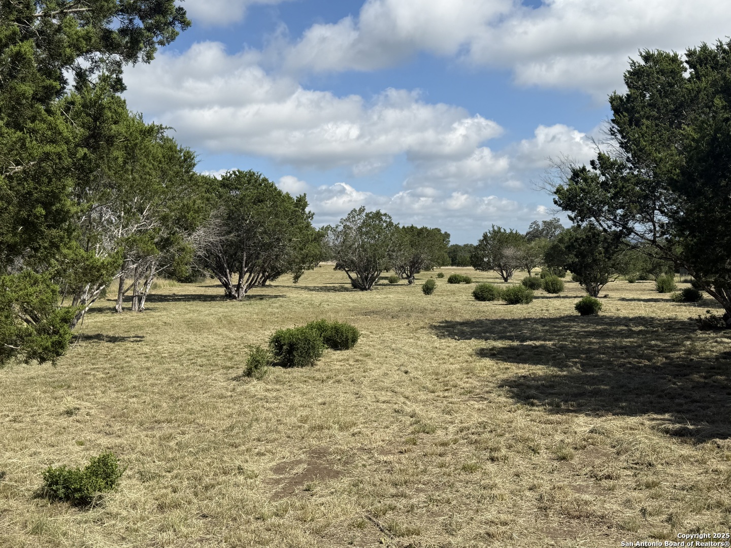 1268 Lariat Bandera, TX 78003 - Photo 4 of 10 a view of a yard with yellow lighting
