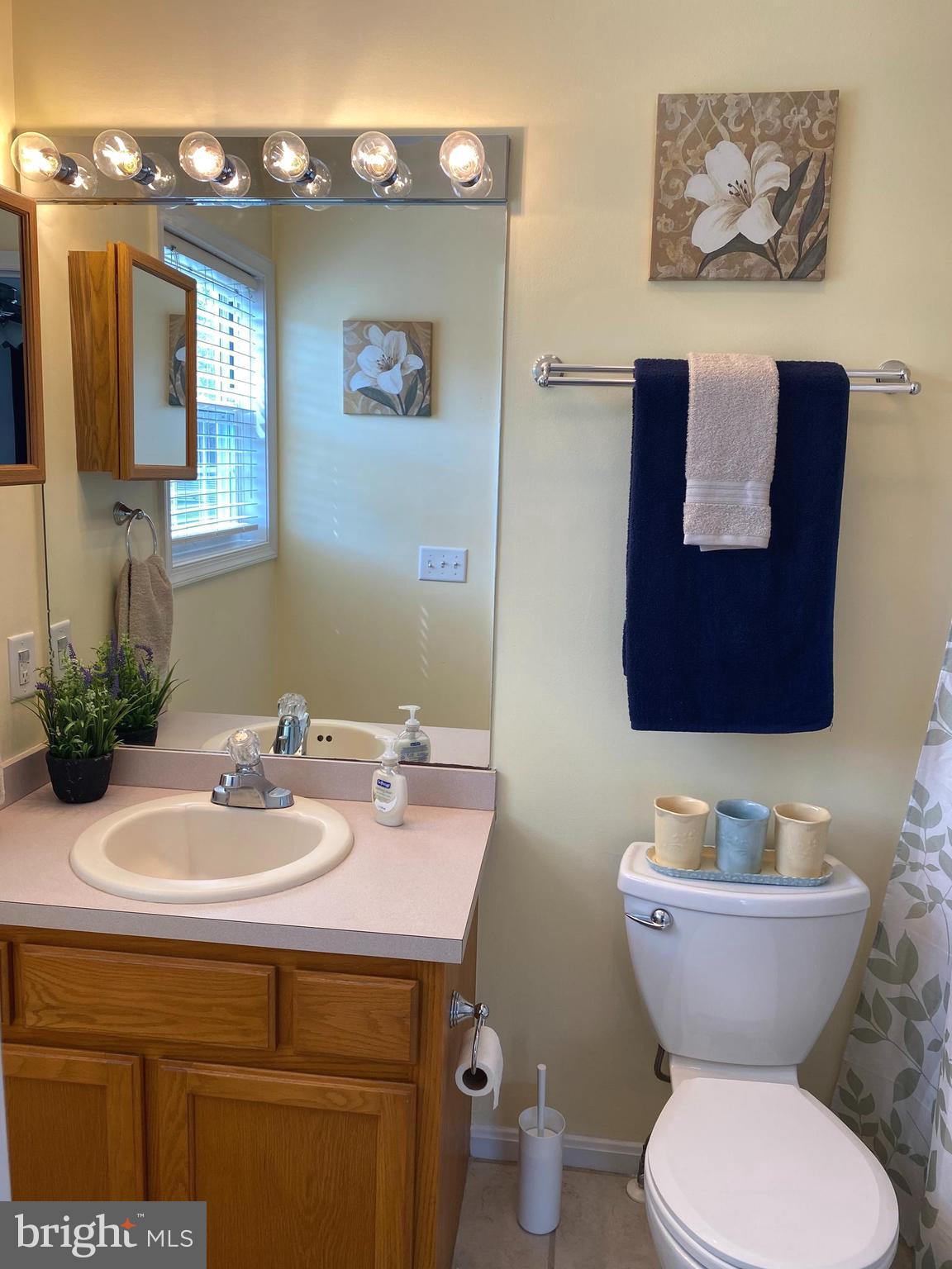 3 9th Street Ridgely, MD 21660 - Photo 8 of 17 Master Bath